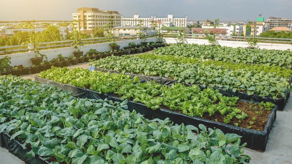 The green transition is transforming jobs, are you ready?
